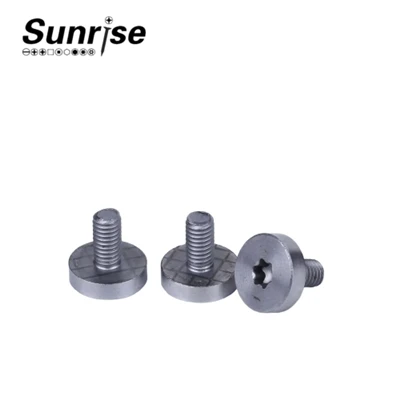 Tornillos de máquina con accionamiento Torx con cabeza cilíndrica