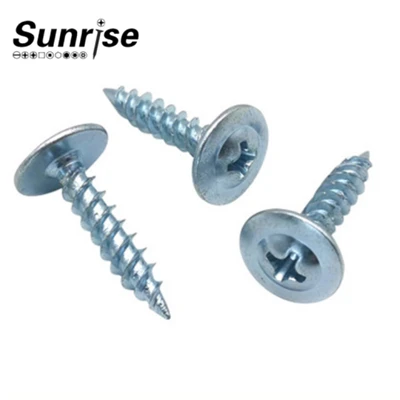 Tornillo autorroscante Phillip Recess Truss Head Tornillo