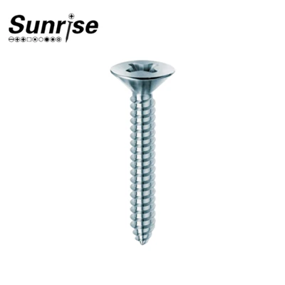 Tornillos de autoaprendizaje de la cabeza de Phillips Countersunk